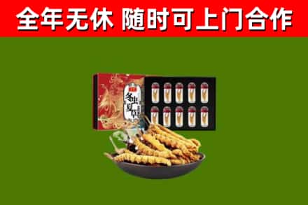 杜集回收冬虫夏草价格