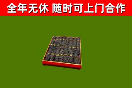 杜集烟酒回收海参.jpg
